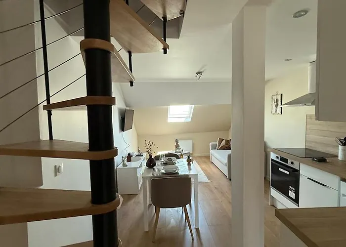 Le Joli Strasbourgeois 公寓 凯恩