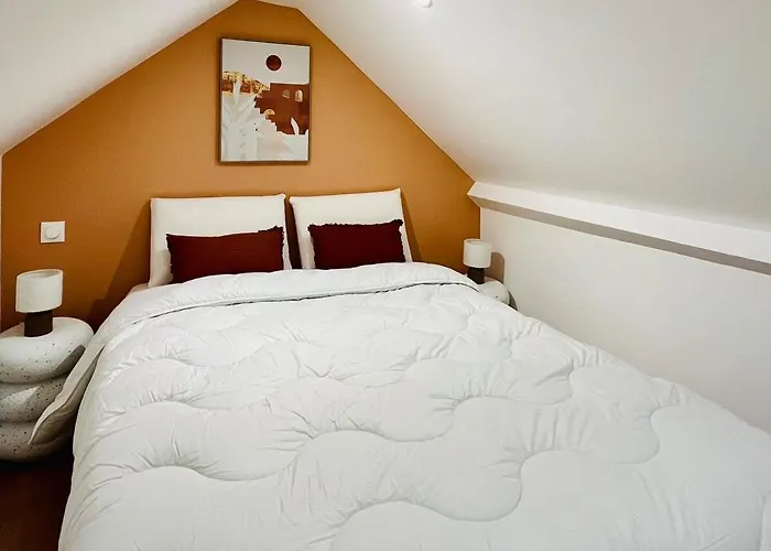 公寓 Le Joli Strasbourgeois *