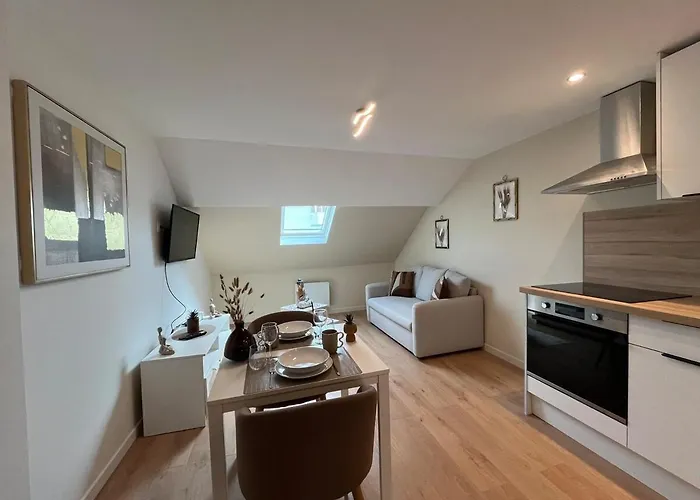 Le Joli Strasbourgeois 公寓 凯恩